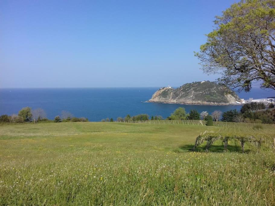 villa au pays BASQUE 1,5km de ST-Jean-Pied-de-port Saint-Jean-Pied-de-Port Extérieur photo