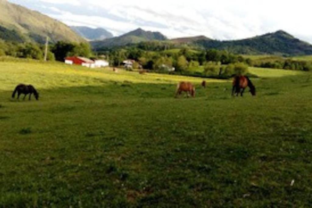 villa au pays BASQUE 1,5km de ST-Jean-Pied-de-port Saint-Jean-Pied-de-Port Extérieur photo